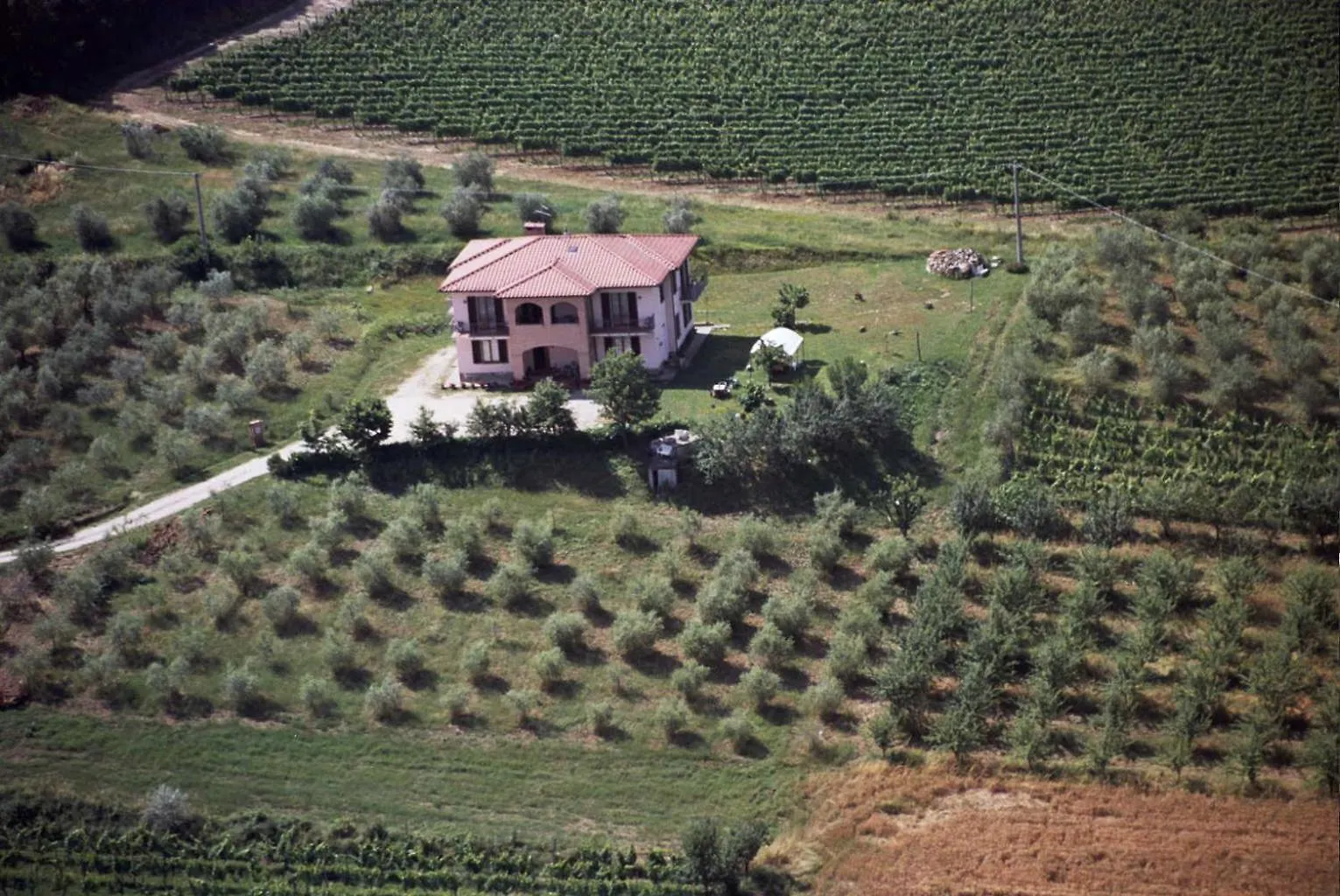 B&B Il Girasole - Rooms & House In Country - Air Conditioned - 1500 Meters From Historic Center Montepulciano Bed & Breakfast