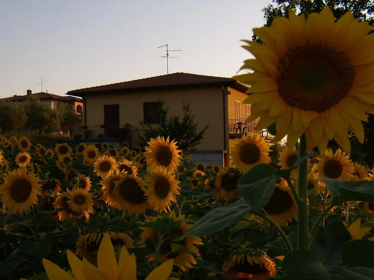 Bed & Breakfast B&B Il Girasole - Rooms & House In Country - Air Conditioned - 1500 Meters From Historic Center Montepulciano